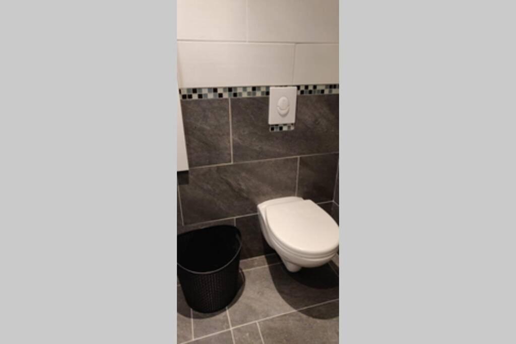 Le Blue, Appartement De Standing En Hyper-Centre Sarreguemines Ngoại thất bức ảnh