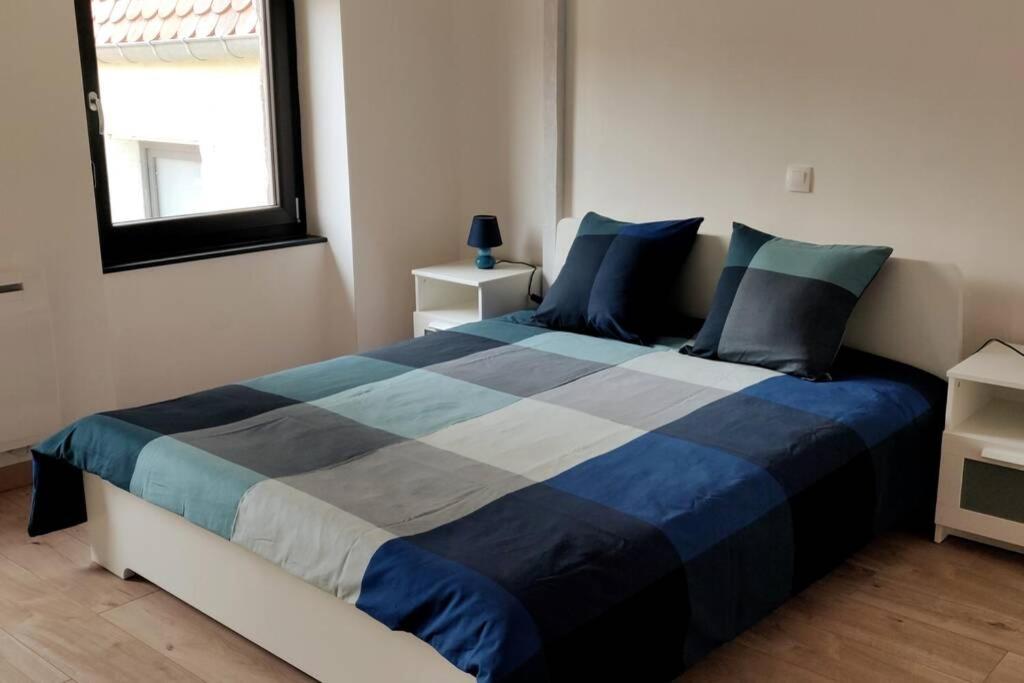 Le Blue, Appartement De Standing En Hyper-Centre Sarreguemines Ngoại thất bức ảnh