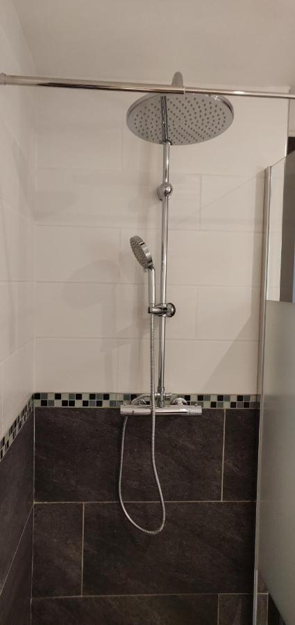 Le Blue, Appartement De Standing En Hyper-Centre Sarreguemines Ngoại thất bức ảnh